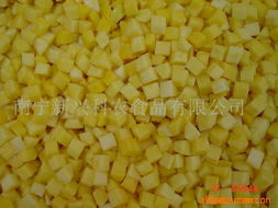 南寧新興科農食品 水果罐頭與蔬菜產品系列